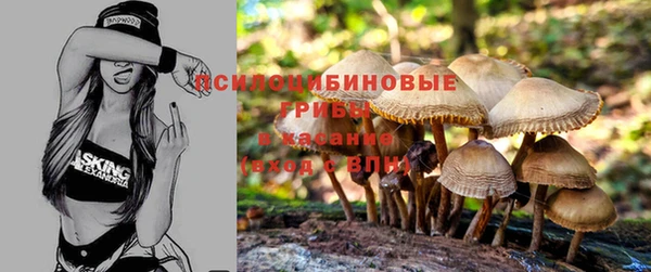 кокаин колумбия Алексин