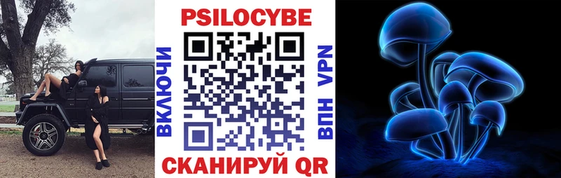 ссылка на мегу сайт  Кимовск  Псилоцибиновые грибы мицелий  где найти наркотики 